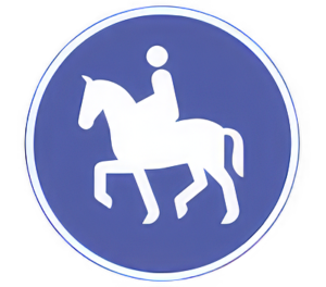 Ridesti D23